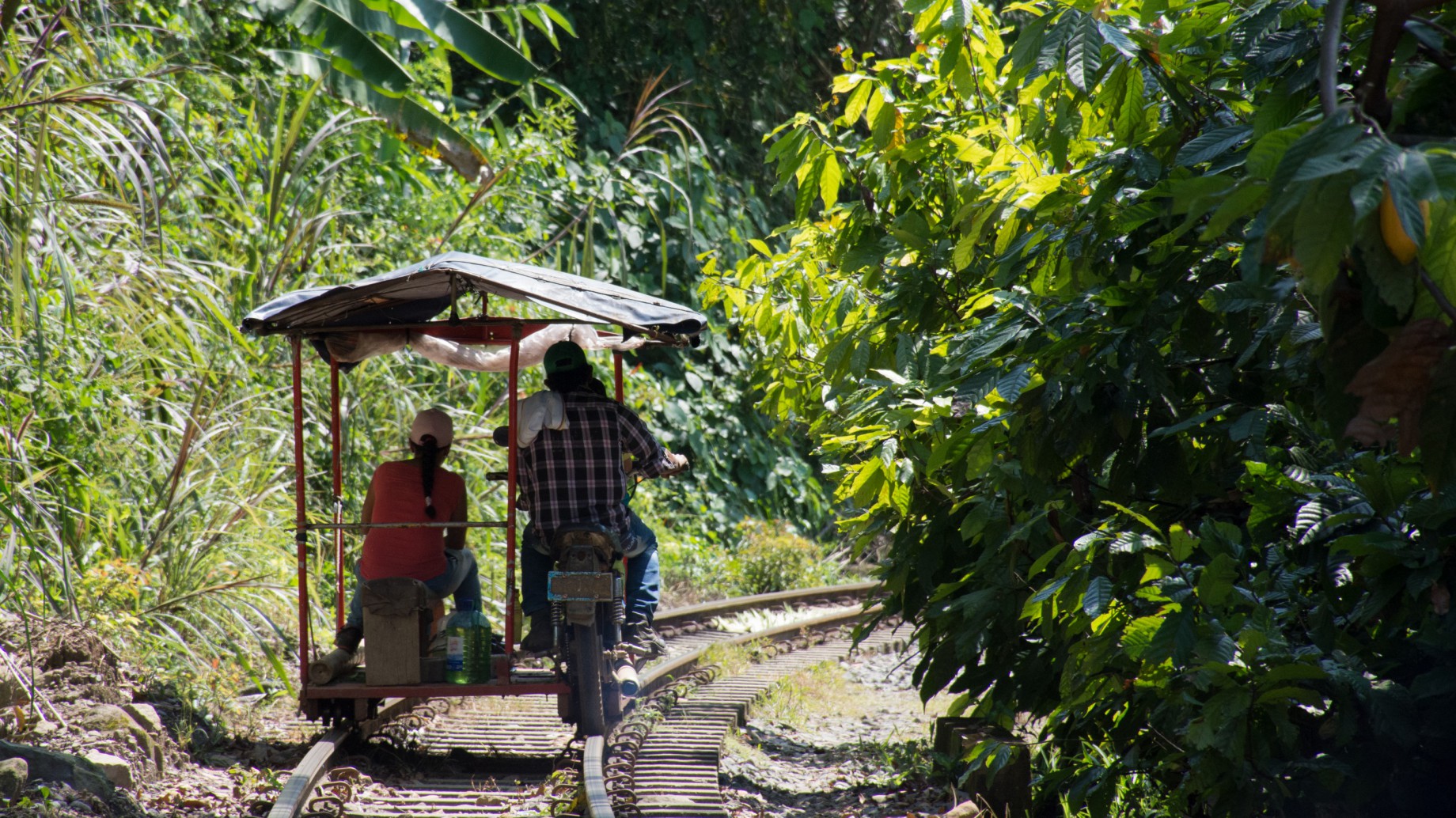 Los campesinos que impulsan el cambio energético en Colombia